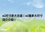 a2尺寸多大合适（a2是多大尺寸简介介绍）