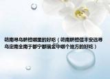 赣南寻乌脐橙哪里的好吃（赣南脐橙信丰安远寻乌定南全南于都宁都瑞金中哪个地方的好吃）