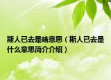 斯人已去是啥意思（斯人已去是什么意思简介介绍）