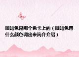 咖啡色是哪个色卡上的（咖啡色用什么颜色调出来简介介绍）