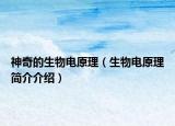 神奇的生物电原理（生物电原理简介介绍）