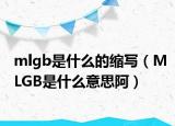 mlgb是什么的缩写（MLGB是什么意思阿）