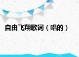 自由飞翔歌词（唱的）