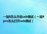 一加8怎么开启usb调试（一加9pro怎么打开usb调试）