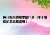 挥汗如雨的意思是什么（挥汗如雨的意思和造句）