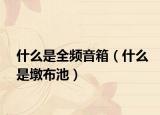 什么是全频音箱（什么是墩布池）