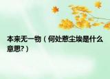 本来无一物（何处惹尘埃是什么意思?）