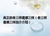 真正的老三样是哪三样（老三样是哪三样简介介绍）