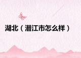 湖北（潜江市怎么样）