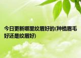 今日更新哪里纹眉好的(种植眉毛好还是纹眉好)
