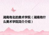 湖南有名的美术学院（湖南有什么美术学院简介介绍）