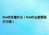 fun中文是什么（fun什么意思简介介绍）