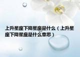 上升星座下降星座是什么（上升星座下降星座是什么意思）