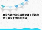 大量苍蝇卵怎么清除处理（苍蝇卵怎么消灭干净简介介绍）