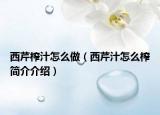 西芹榨汁怎么做（西芹汁怎么榨简介介绍）