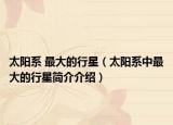 太阳系 最大的行星（太阳系中最大的行星简介介绍）