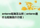 antares轮胎怎么样（antares是什么轮胎简介介绍）
