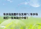 车水马龙是什么生肖?（车水马龙打一生肖简介介绍）