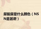 尿酸尿是什么颜色（NSN是甚麽）