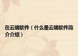 在云端软件（什么是云端软件简介介绍）