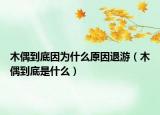 木偶到底因为什么原因退游（木偶到底是什么）