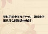 莫科的前妻王凡干什么（莫科妻子王凡什么时候遗体告别）