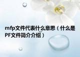 mfp文件代表什么意思（什么是PF文件简介介绍）