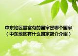 中东地区最富有的国家是哪个国家（中东地区有什么国家简介介绍）