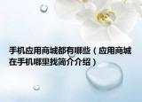 手机应用商城都有哪些（应用商城在手机哪里找简介介绍）