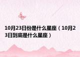 10月23日份是什么星座（10月23日到底是什么星座）