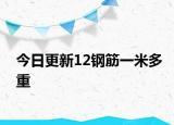 今日更新12钢筋一米多重