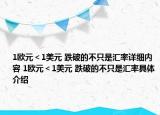 1欧元＜1美元 跌破的不只是汇率详细内容 1欧元＜1美元 跌破的不只是汇率具体介绍