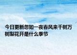 今日更新忽如一夜春风来千树万树梨花开是什么季节