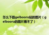 怎么下载gelbooru站的图片（gelbooru的图片看不了）