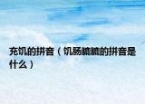 充饥的拼音（饥肠膔膔的拼音是什么）