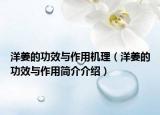 洋姜的功效与作用机理（洋姜的功效与作用简介介绍）