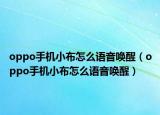 oppo手机小布怎么语音唤醒（oppo手机小布怎么语音唤醒）