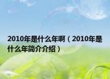 2010年是什么年啊（2010年是什么年简介介绍）