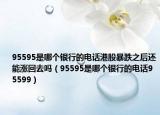 95595是哪个银行的电话港股暴跌之后还能涨回去吗（95595是哪个银行的电话95599）