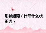 形状组词（什形什么状组词）