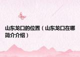 山东龙口的位置（山东龙口在哪简介介绍）