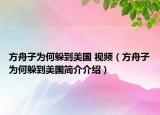 方舟子为何躲到美国 视频（方舟子为何躲到美国简介介绍）