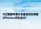 今日更新苹果开发者选项在哪里(iPhonexs开机显示)