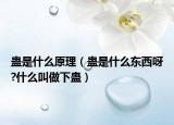蛊是什么原理（蛊是什么东西呀?什么叫做下蛊）