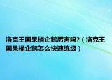 洛克王国呆桶企鹅厉害吗?（洛克王国呆桶企鹅怎么快速练级）