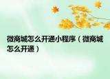 微商城怎么开通小程序（微商城怎么开通）