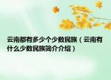 云南都有多少个少数民族（云南有什么少数民族简介介绍）