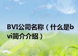 BVI公司名称（什么是bvi简介介绍）