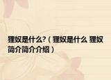 狸奴是什么?（狸奴是什么 狸奴简介简介介绍）