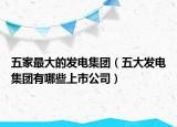 五家最大的发电集团（五大发电集团有哪些上市公司）